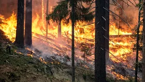 MAE: Grecia menţine gradul de alertă ridicat pentru incendiile de vegetaţie