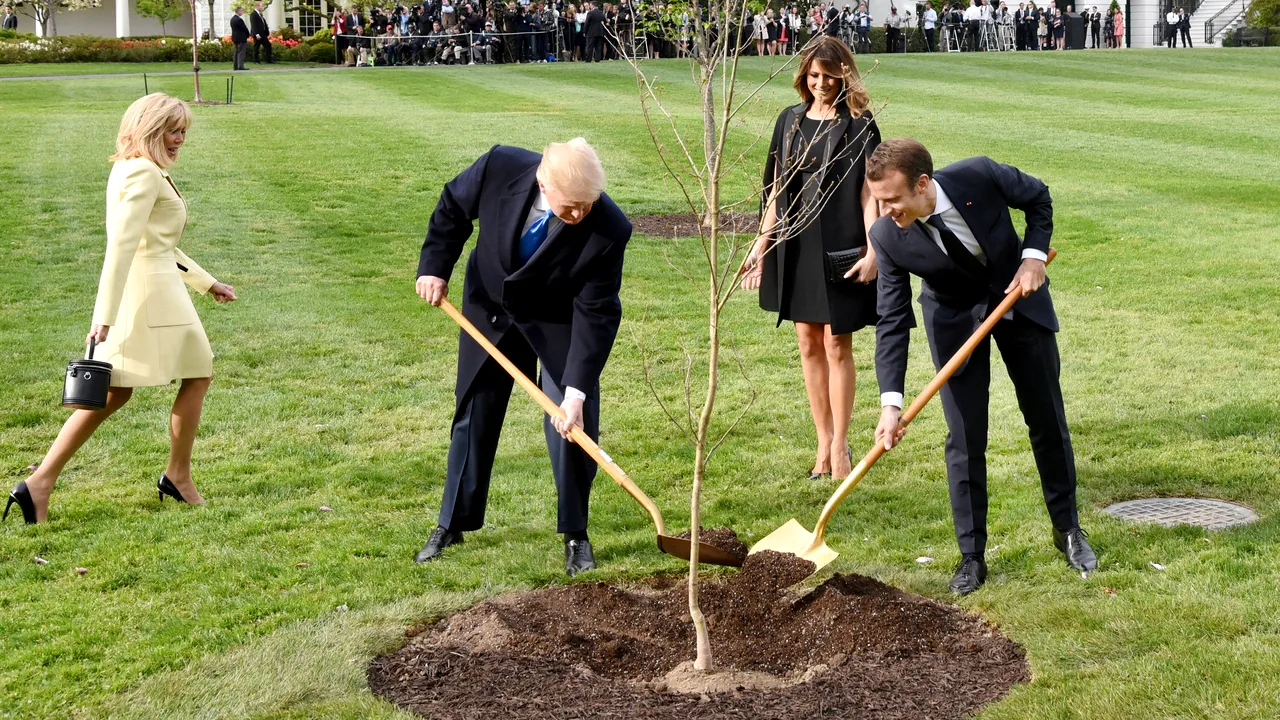 Simbolul prieteniei dintre Donald Trump şi Emmanuel Macron s-a uscat: Ce s-a întâmplat cu stejarul adus la Casa Albă dintr-o pădure din Franţa