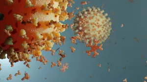 Sistem imunitar vs. Coronavirus: Cât timp durează imunitatea după COVID-19? Studii efectuate şi clarificări OMS