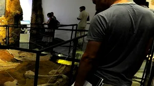 TOPUL celor mai vizitate muzee din România - FOTO