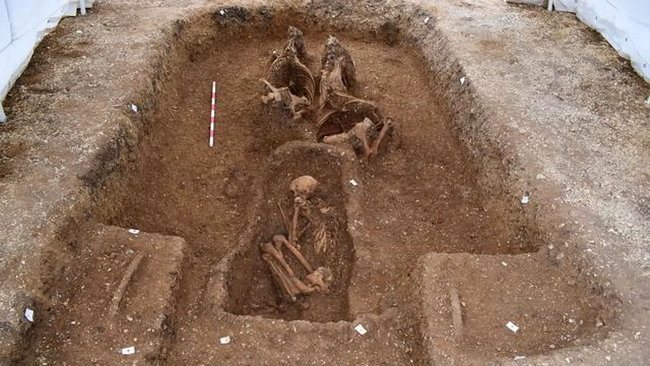 „Ca şi cum ar vrea să sară din mormânt”: Arheologii au descoperit o căruţă spectaculoasă din Epoca Fierului