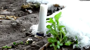 Chiştoacele sunt la fel de nocive precum fumul eliminat de o ţigară aprinsă 