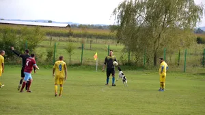 Un meci din Liga a 4-a, întrerupt de un căţel supărat pe portarul advers care trăgea de timp