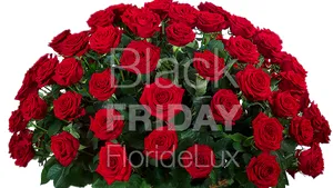 Black Friday la FlorideLux cu reduceri de până 50%